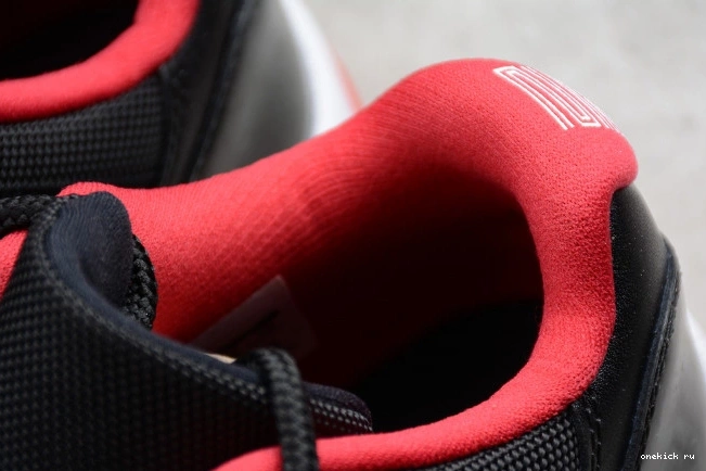 Chep Onekick  mens 11 Air 